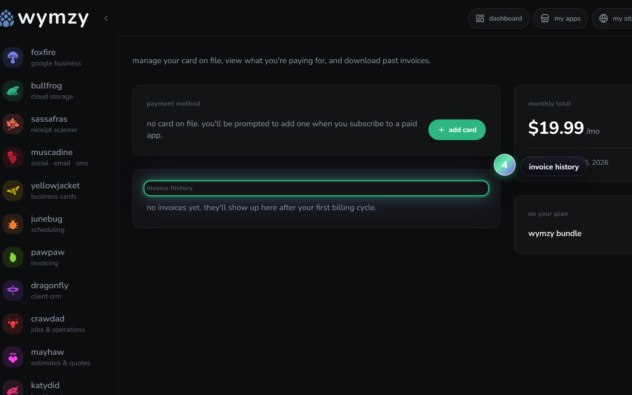 download past invoices — step 4